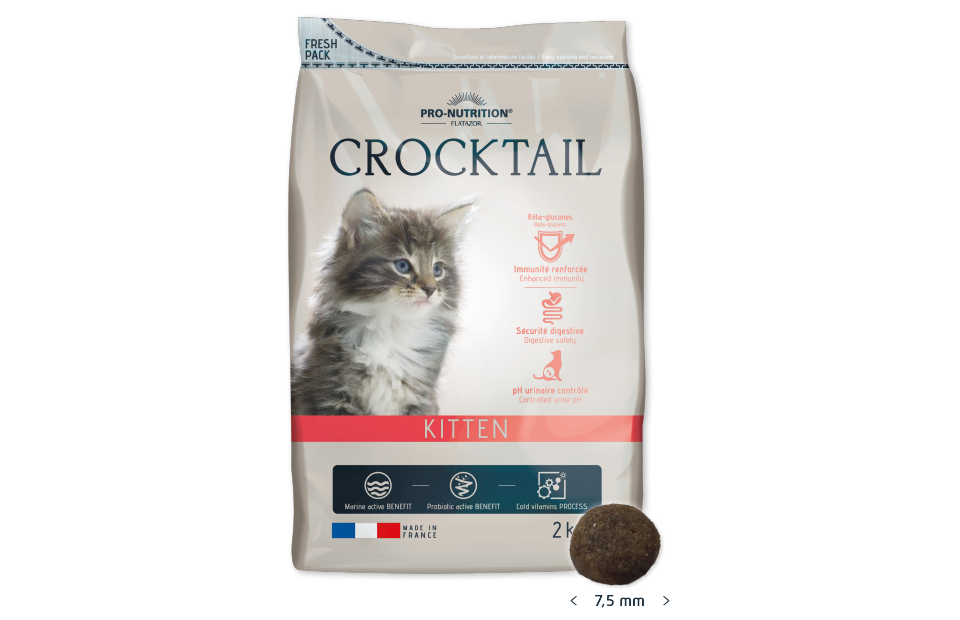 Crocktail adulte chaton