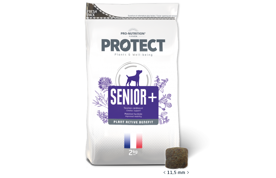 Protect Senior Plus