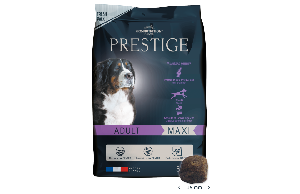 Prestige Adulte Maxi
