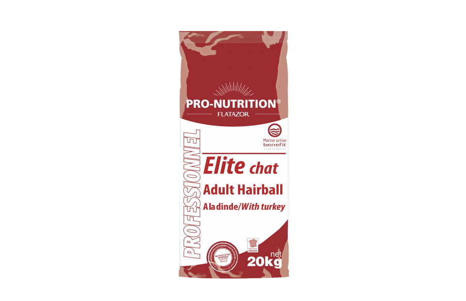 Chat Adult Hairball Mit Pute