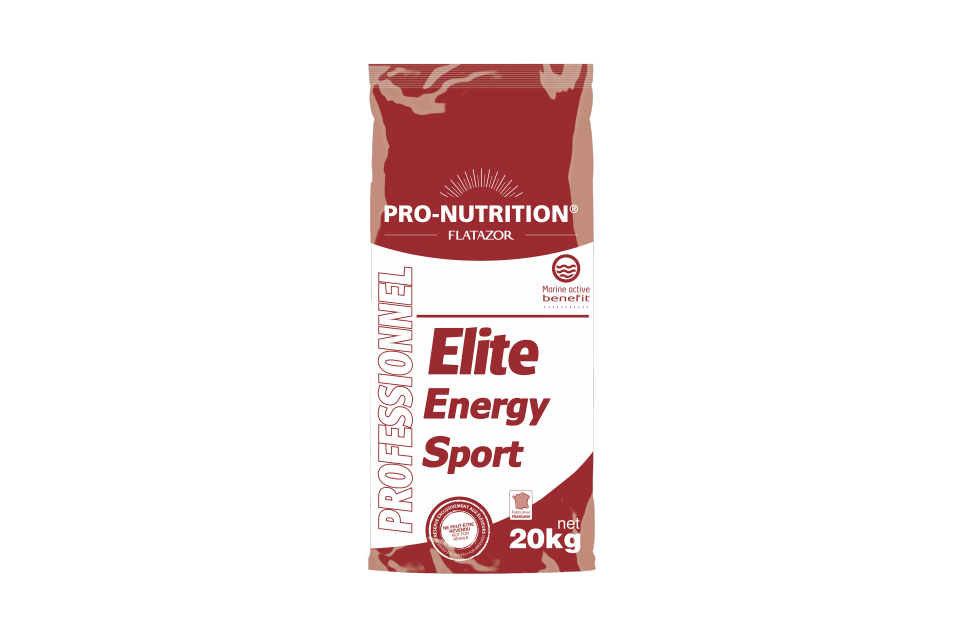 Energy Sport