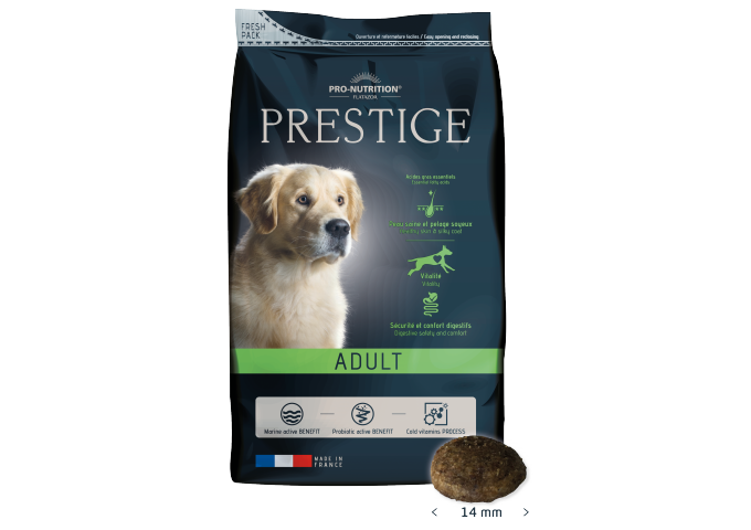 Playing Sport With Your Dog For Its Health And Yours Pro Nutrition Flatazor