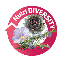 LES PHYTO-ACTIFS LES PHYTO-ACTIFS